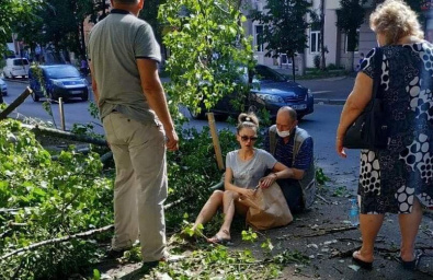В Киеве дерево упало на дорогу (видео)