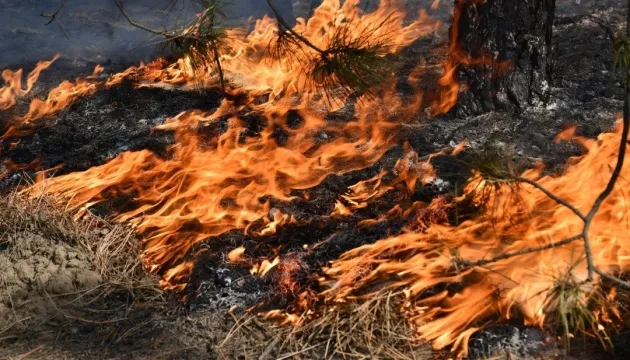 У Києві та області 1 липня прогнозують високий рівень пожежної небезпеки