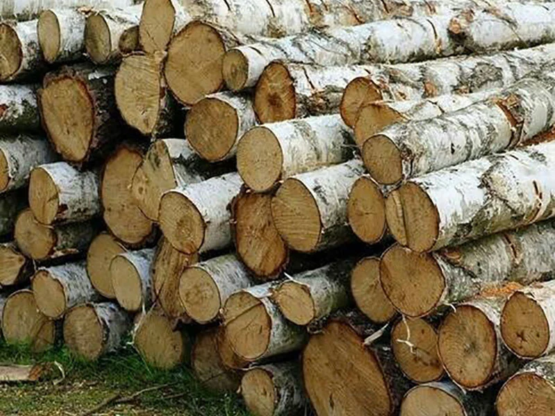 Для шкіл і садочків Зугрівки за 1 млн гривень куплять дрова